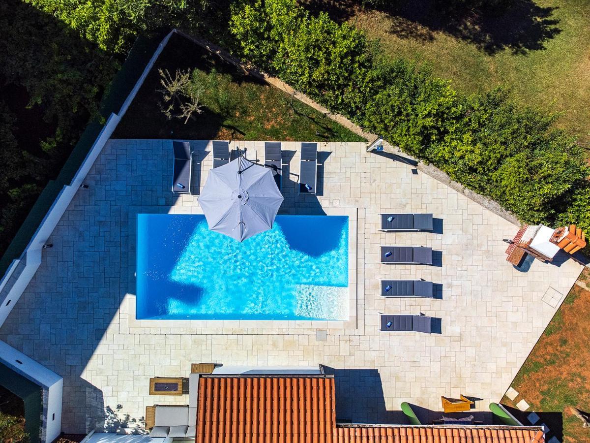 Big Swimming Pool Apartment Monvidal PUY 외부 사진